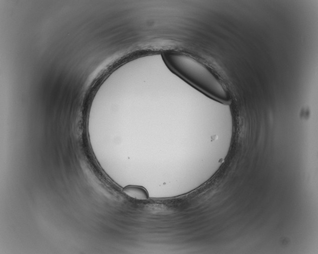 X0000113170392200909251423