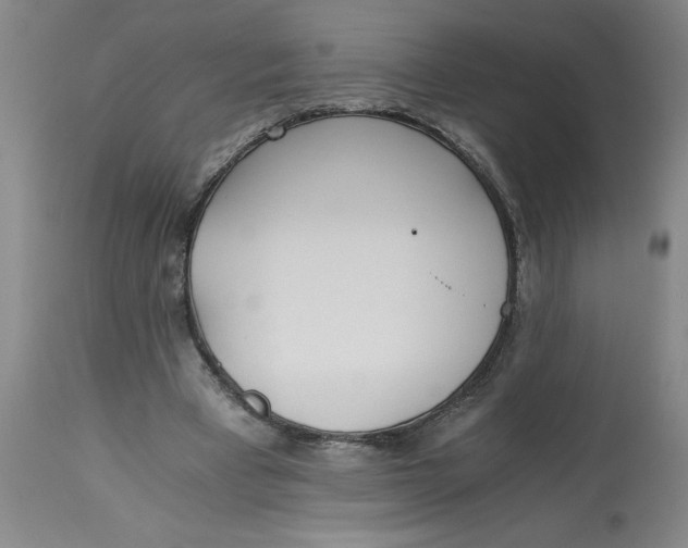 X0000113170393200909251423