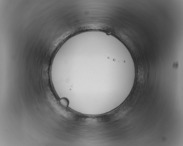 X0000113170394200909251423