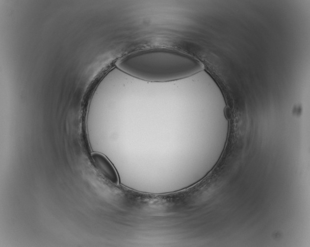 X0000113170395200909251423