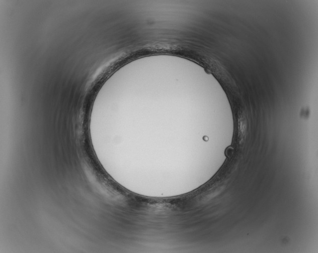 X0000113170396200909251423