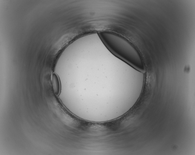 X0000113170397200909251423