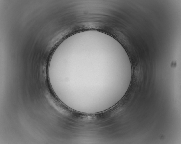 X0000113170398200909251423