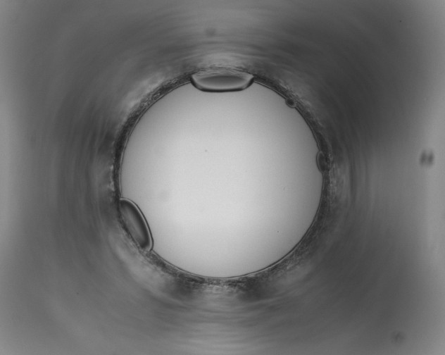 X0000113170399200909251422