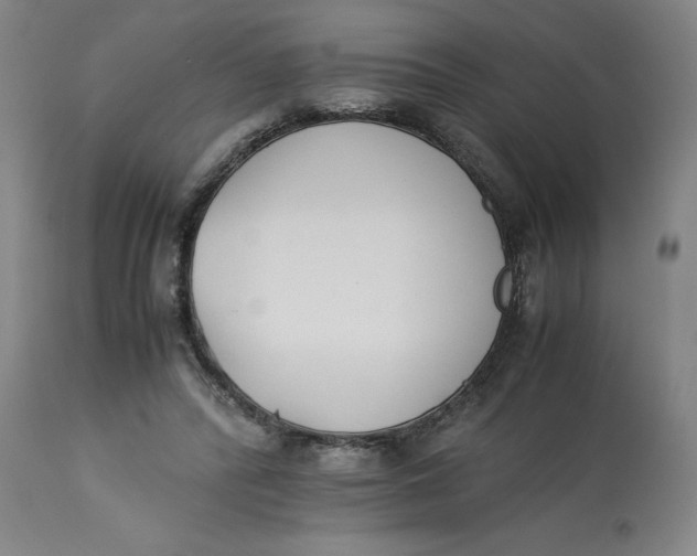 X0000113170400200909251422