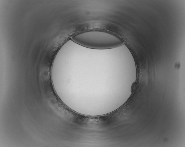 X0000113170401200909251422