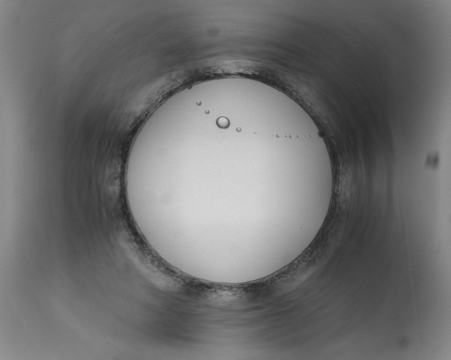 X0000113170402200909251422