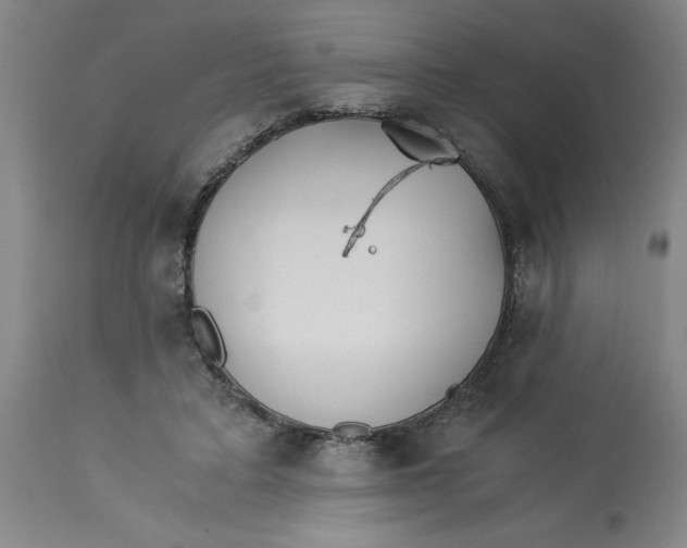 X0000113170403200909251422