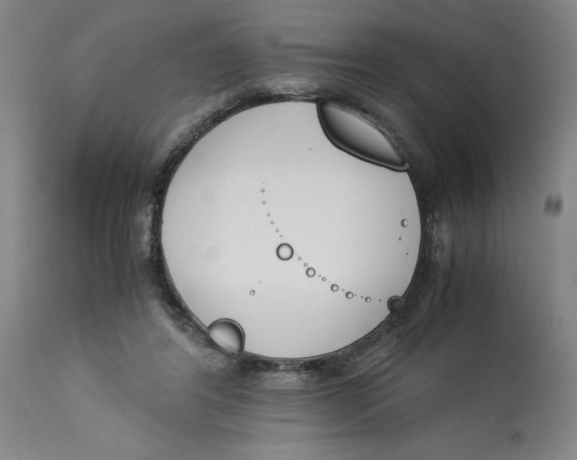 X0000113170404200909251422