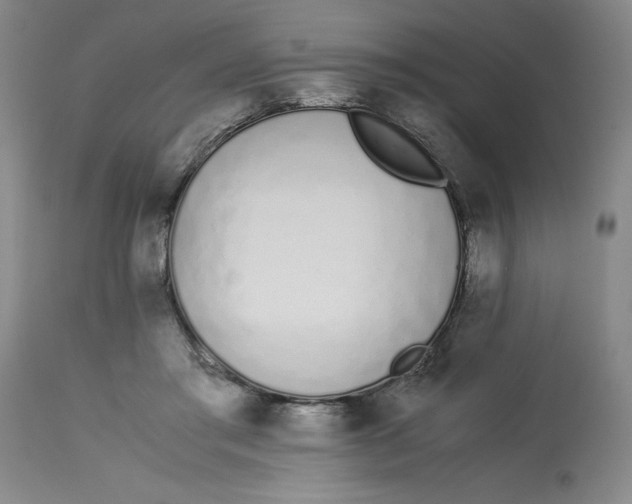 X0000113170405200909251422