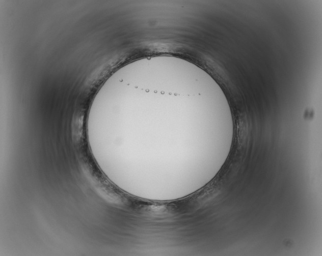 X0000113170406200909251422