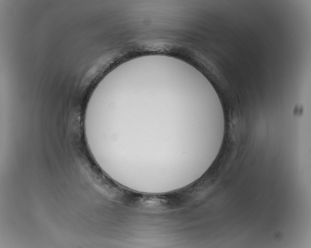 X0000113170407200909251422