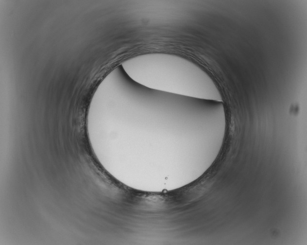 X0000113170409200909251422