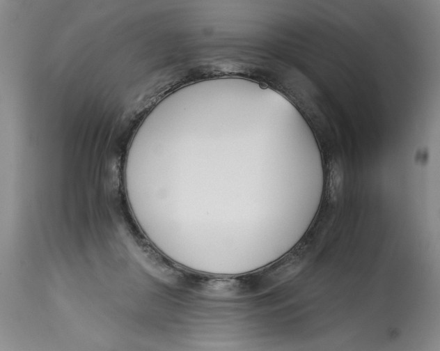 X0000113170410200909251422