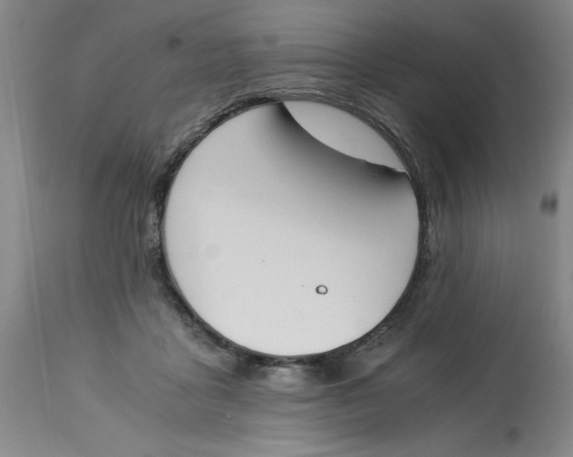 X0000113170411200909251422