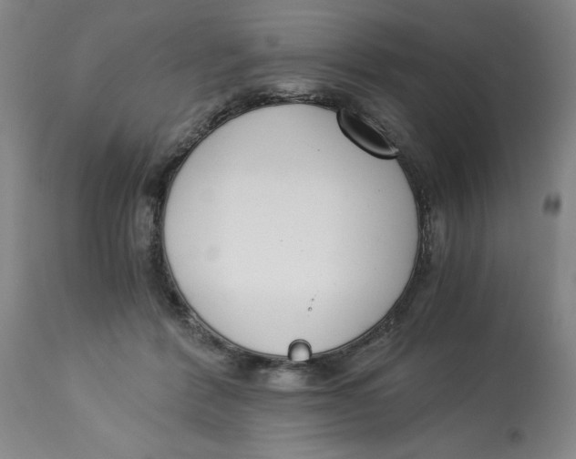 X0000113170412200909251422