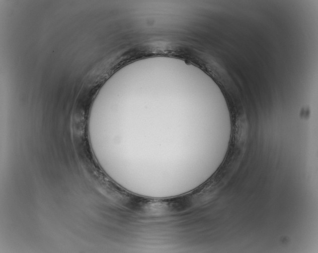 X0000113170413200909251422