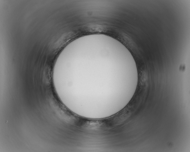 X0000113170414200909251422