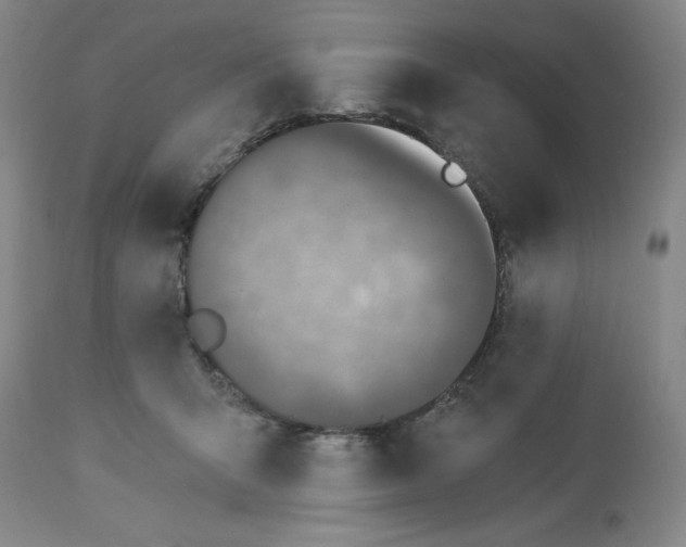 X0000113170415200909251422