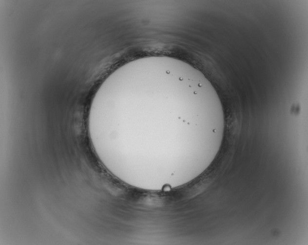 X0000113170416200909251422