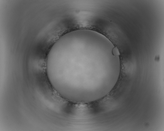 X0000113170419200909251422