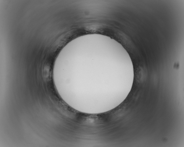 X0000113170420200909251422