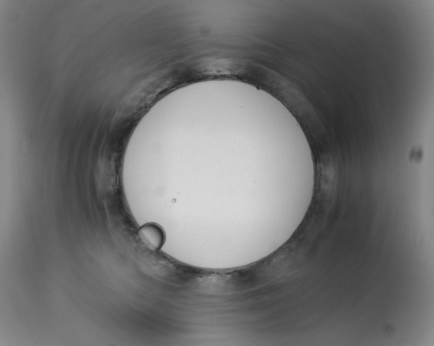 X0000113170422200909251422