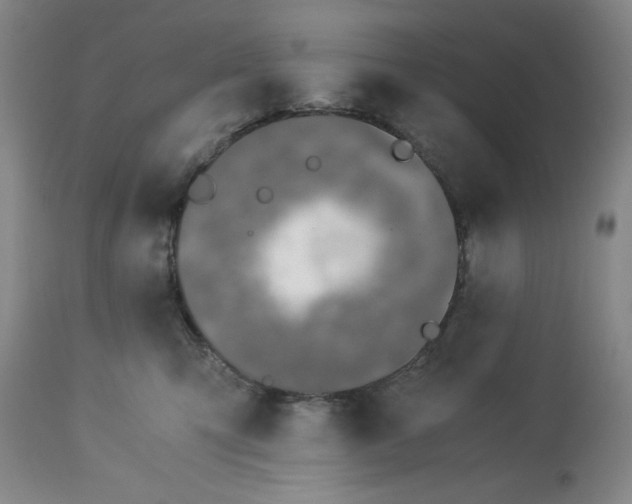 X0000113170423200909251422