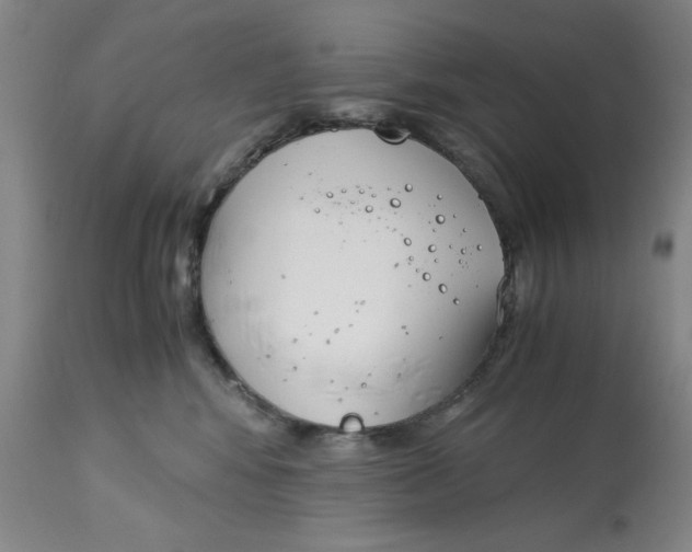 X0000113170424200909251422