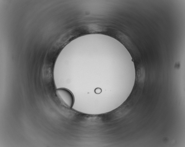 X0000113170426200909251422