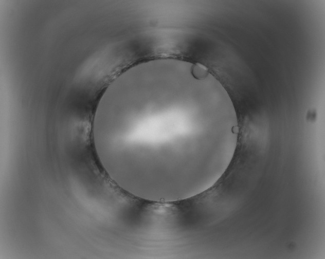 X0000113170427200909251422