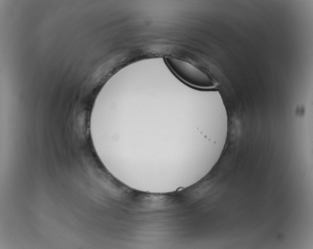 X0000113170428200909251422