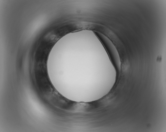 X0000113170429200909251422