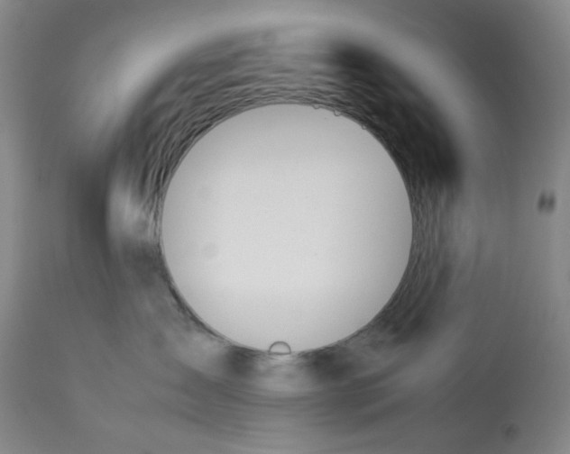 X0000113170431200909251422