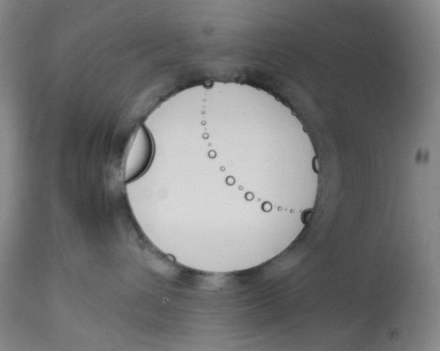 X0000113170432200909251422