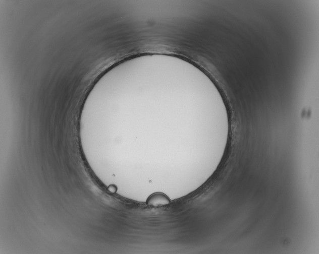 X0000113170433200909251421