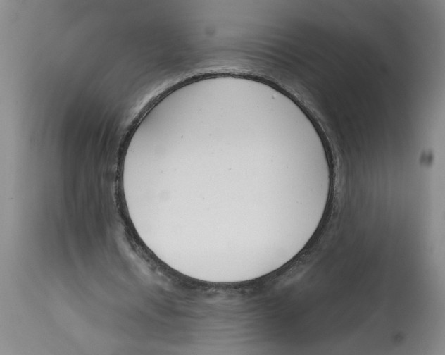 X0000113170434200909251421