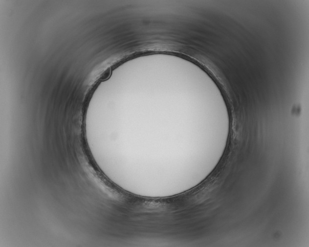 X0000113170437200909251421