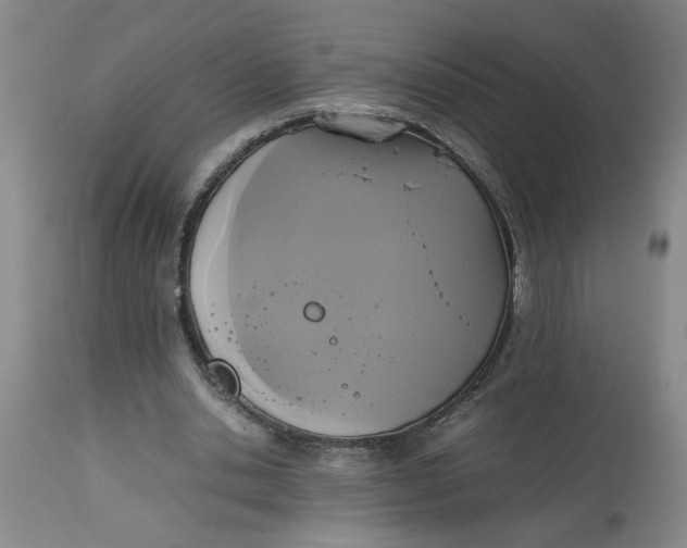 X0000113170438200909251421