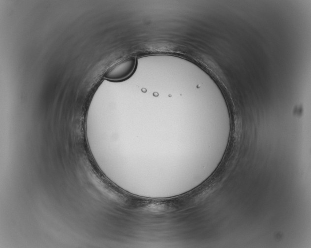 X0000113170441200909251421