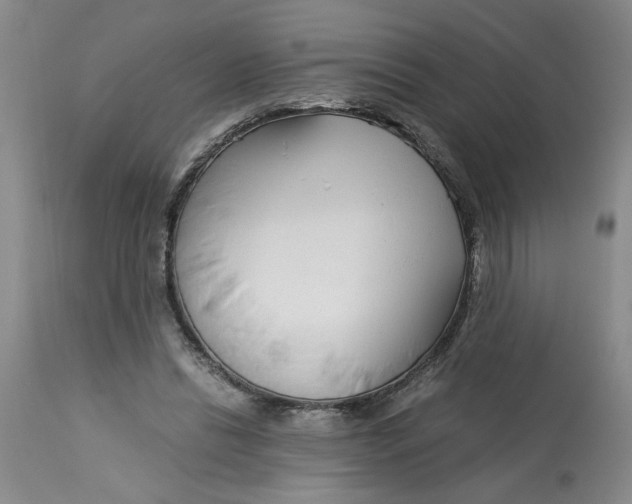 X0000113170446200909251421