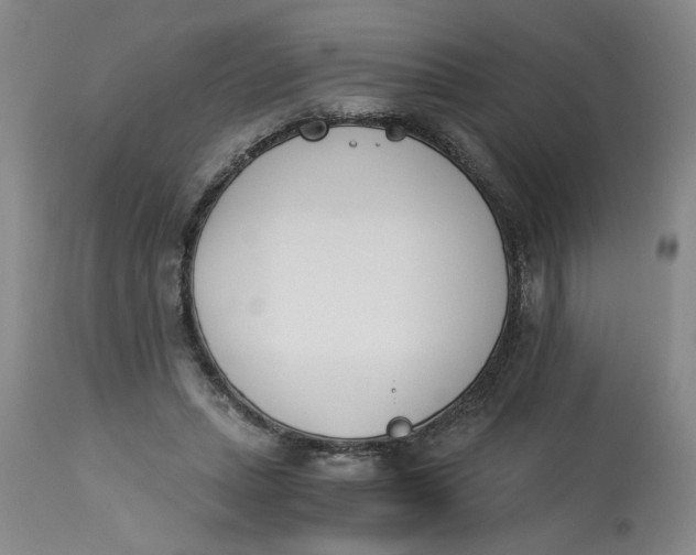 X0000113170447200909251421