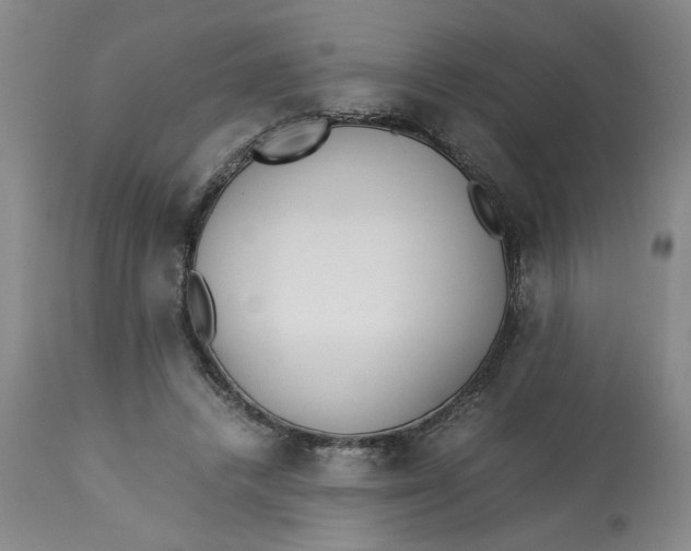 X0000113170448200909251421