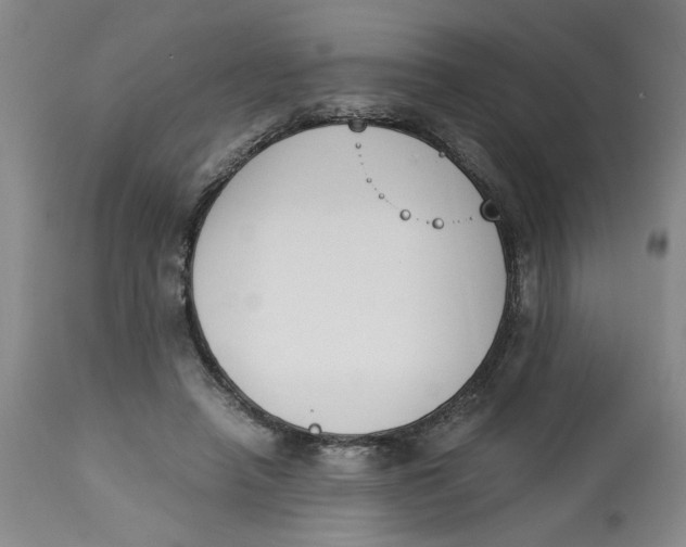 X0000113170450200909251421