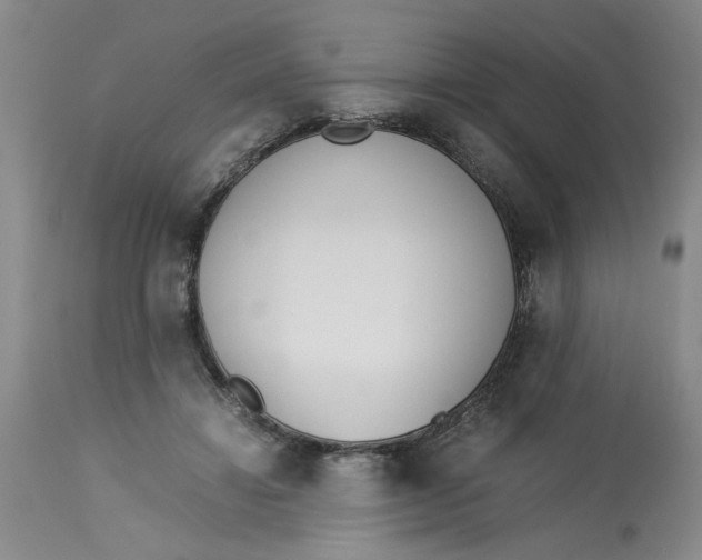 X0000113170452200909251421