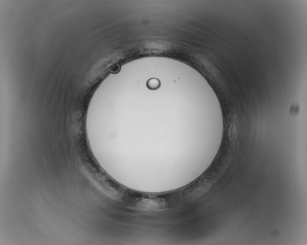 X0000113170455200909251422