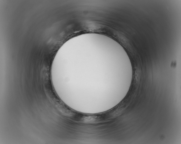 X0000113170461200909251422