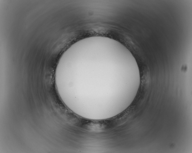 X0000113170464200909251422