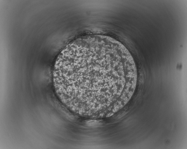 X0000113170465200909251422