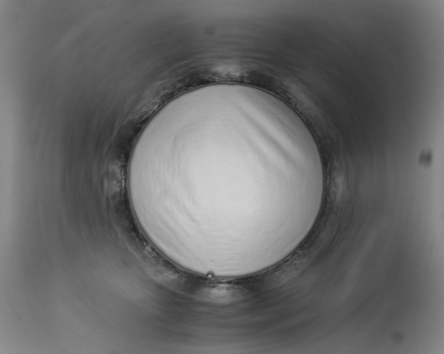 X0000113170467200909251422